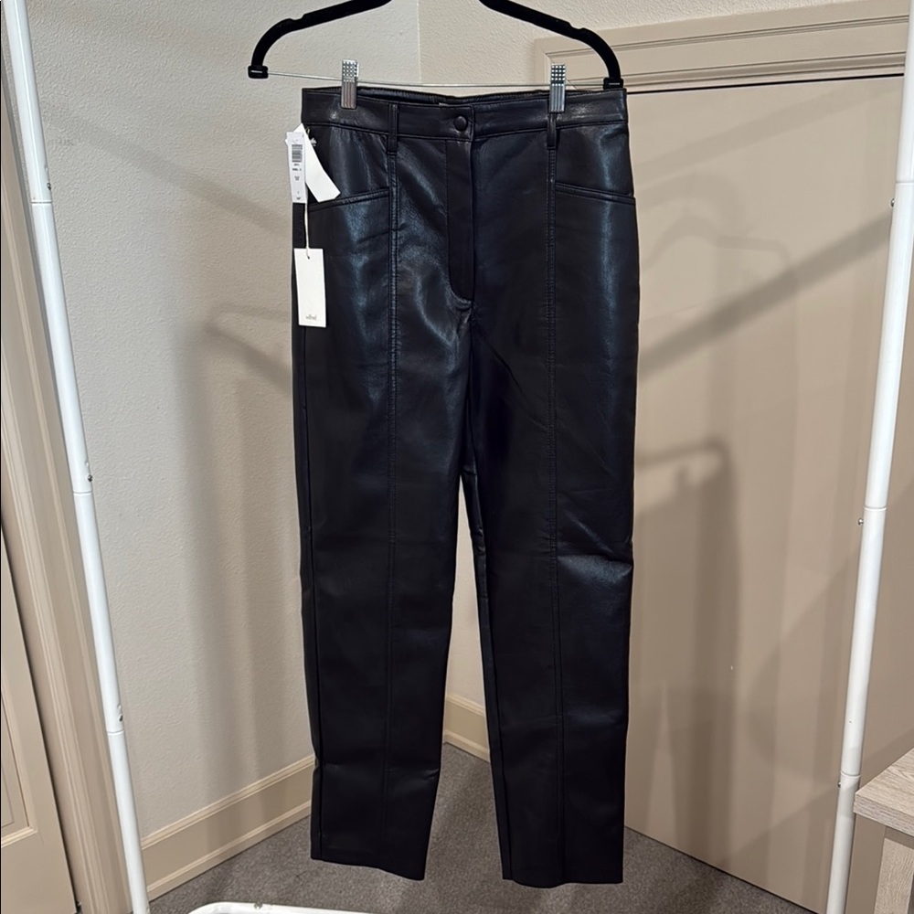 Aritzia “wilfred” Sleek Black Leather Pants